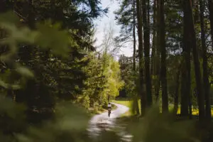Fotocredit Waldvierrtel Tourismus, Franziska Consolati